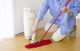 cleaner_02.jpg